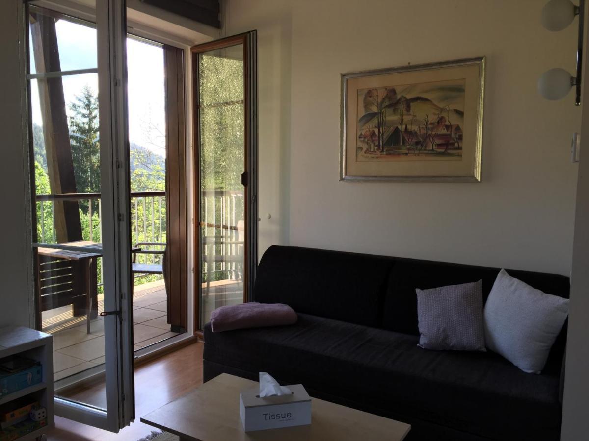 Apartman U Sjezdovky Velké Karlovice Extérieur photo