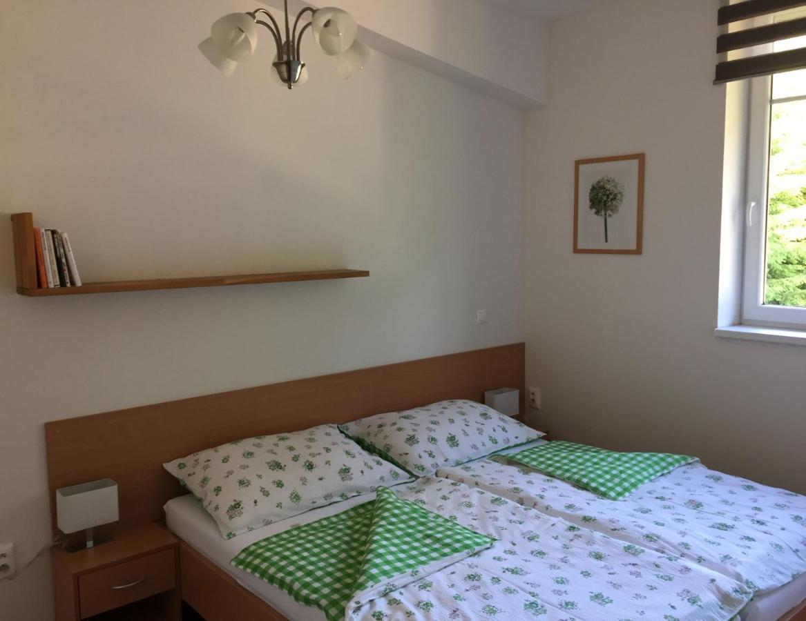 Apartman U Sjezdovky Velké Karlovice Extérieur photo